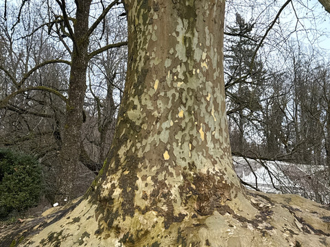 Arboretum Volčji Potok-Radomlje必去景点