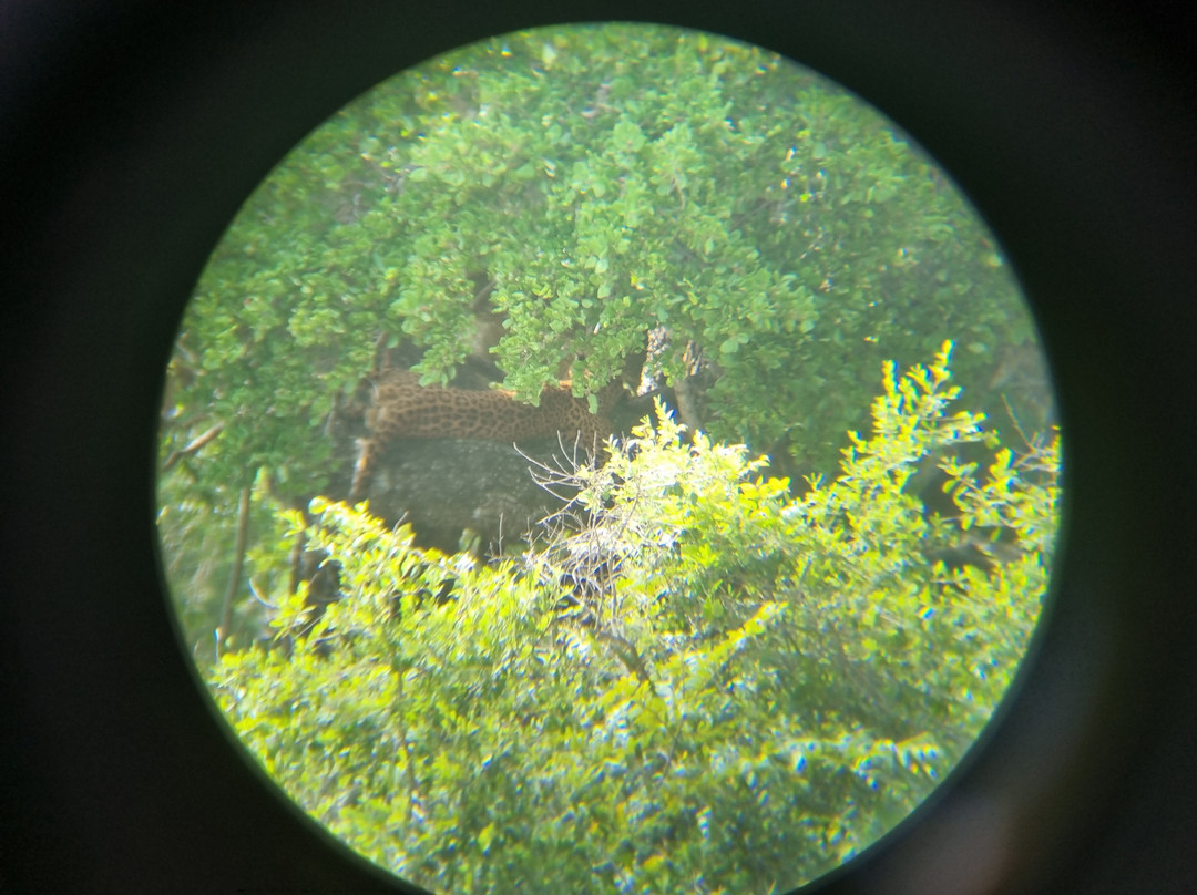 Bentota Tours-Aluthgama必去景点