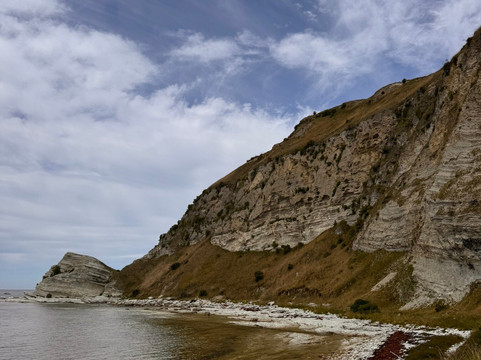 凯库拉毛皮海狮聚集区-Kaikoura必去景点