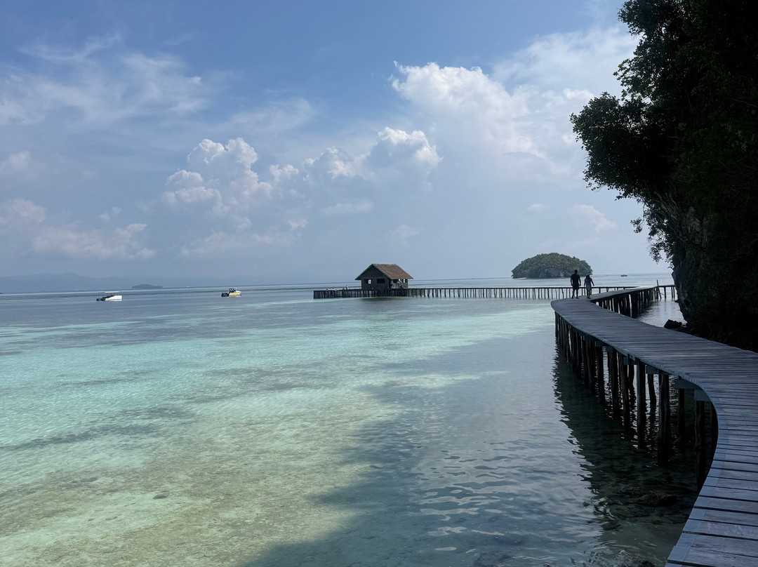 Papua Diving-Kri Island必去景点