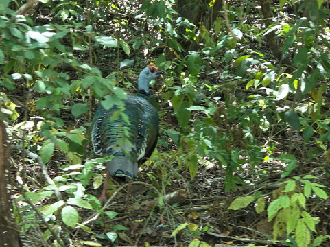 DANTA TOURS-Xpujil Town必去景点