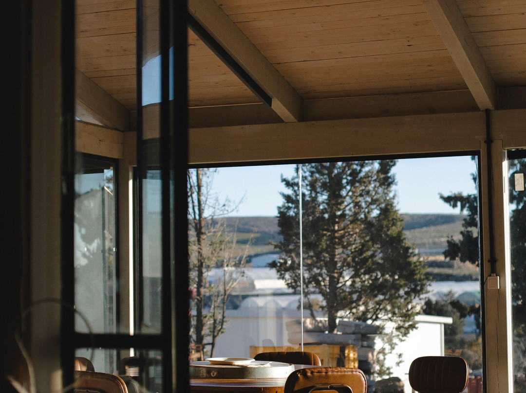 Drimia Winery-Judaean Hills必去景点