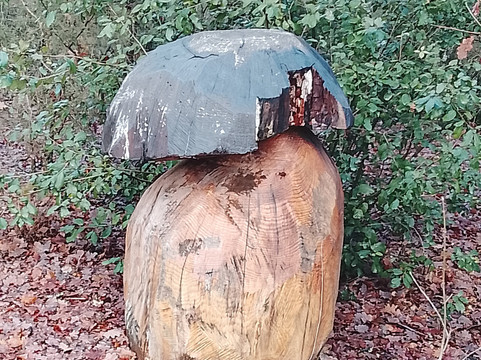 Parco Sculture Del Chianti-Pievasciata必去景点