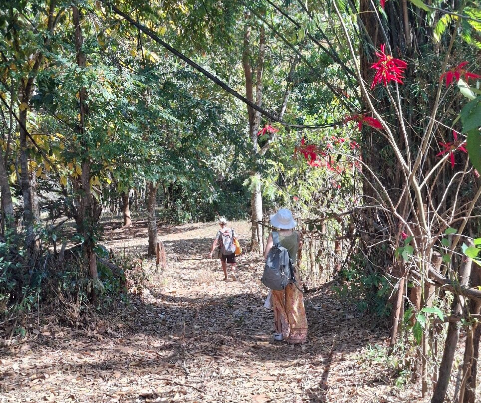 Mike's Authentic Trekking-清迈必去景点