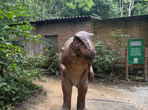 Terra Dos Dinos-Miguel Pereira必去景点