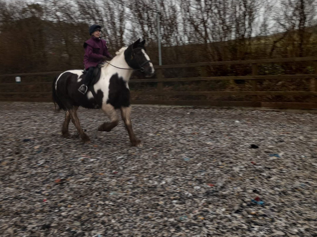 Caradon Hill Trekking and Equestrian Centre-Pensilva必去景点