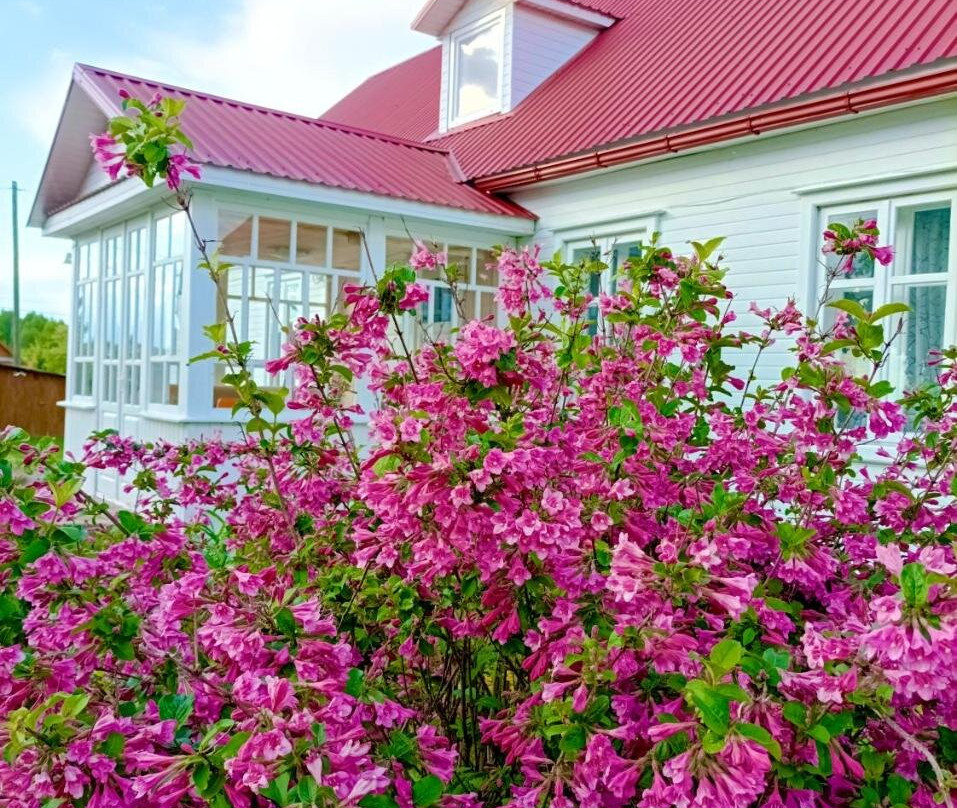 Balta Maja