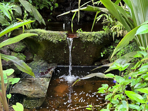 Poppelsdorf Palace-波恩必去景点