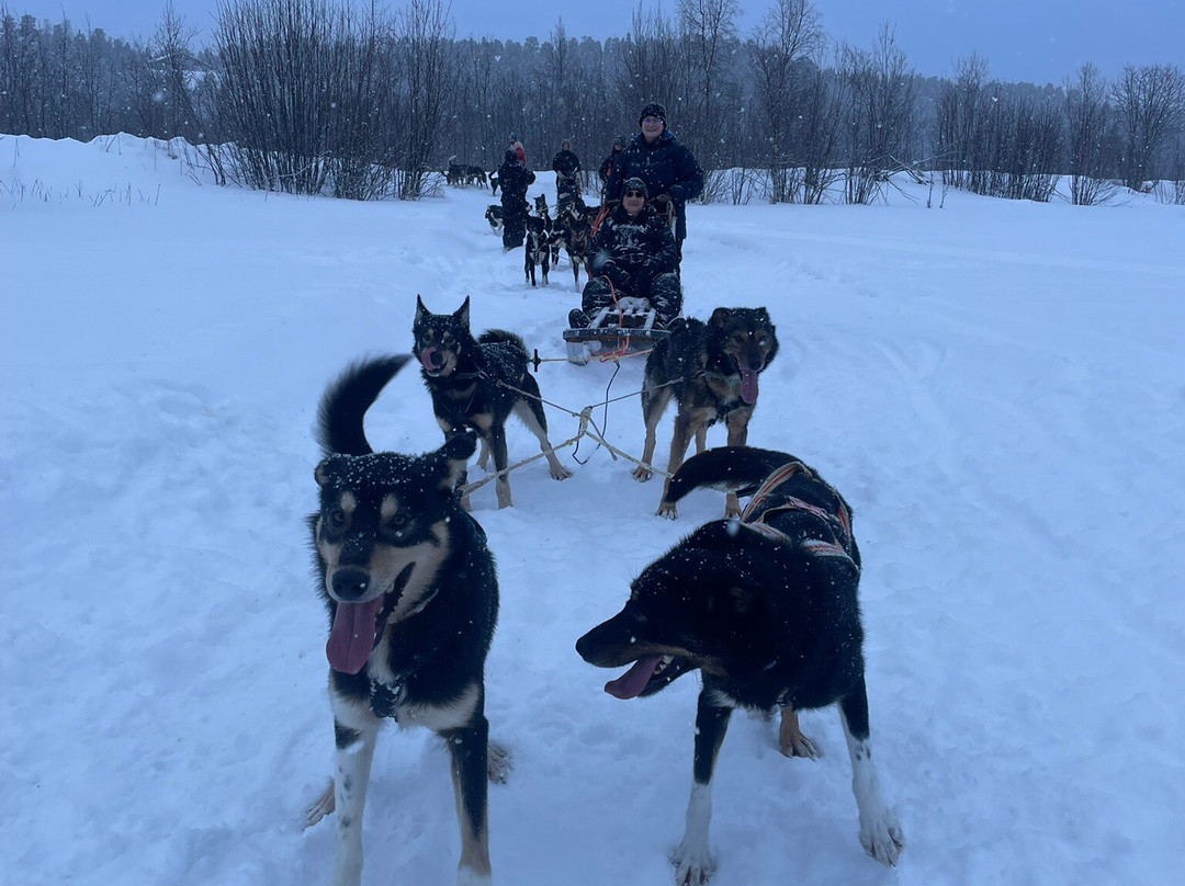 Trasti & Trine AS-阿尔塔必去景点