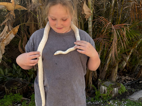 Croc Encounters-坦帕必去景点