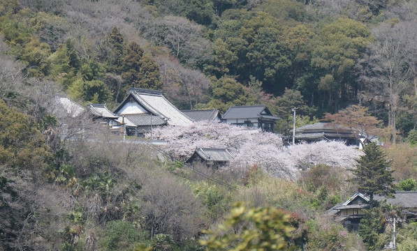 Io-ji Temple-福山市必去景点