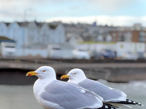 佩恩顿海滨旅屋酒店主图