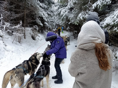 Touring Romania-布加勒斯特必去景点