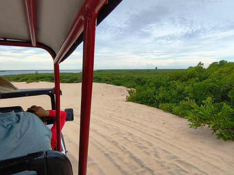 Passeios a Foz do Rio São Francisco - DR TOUR-Piacabucu必去景点