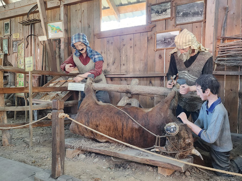 Ethnographic Museum "Borjgalo"-巴统必去景点