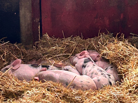 Hatton Country World-Hatton必去景点