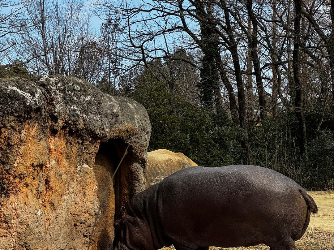八木山动物公园-仙台市必去景点