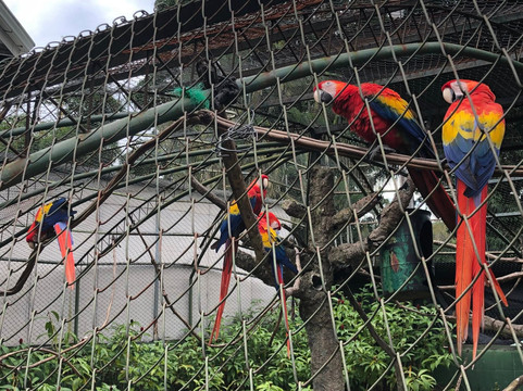 Proyecto Asis-福德圣卡洛斯必去景点