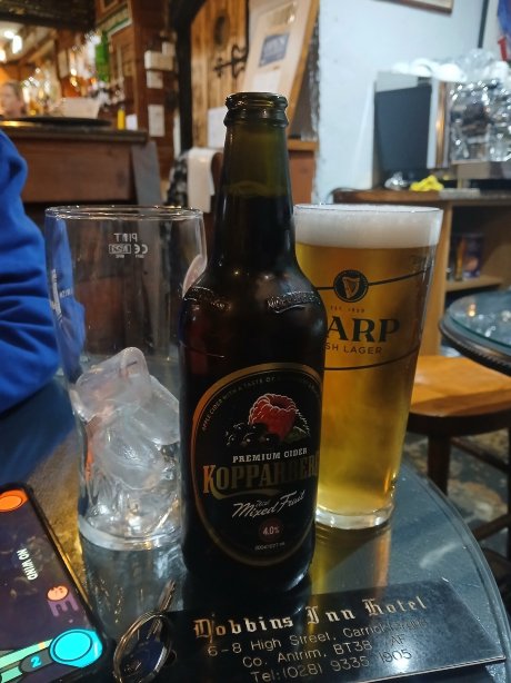 多宾斯旅馆-官方