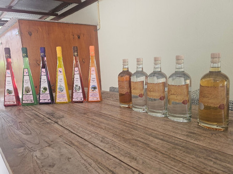 The Cadushy Distillery-Rincon必去景点