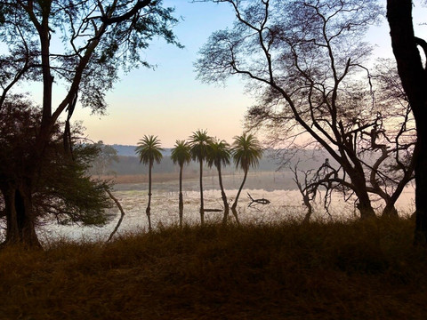 Ranthambore National Park-Ranthambore National Park必去景点
