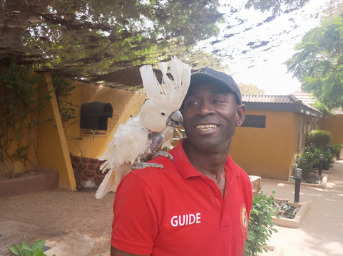 Parc Exotique Du Sénégal-恩加帕鲁必去景点