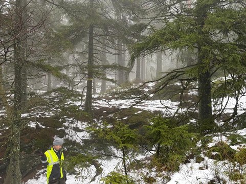 Alingsas Moose Safari-Alingsas必去景点