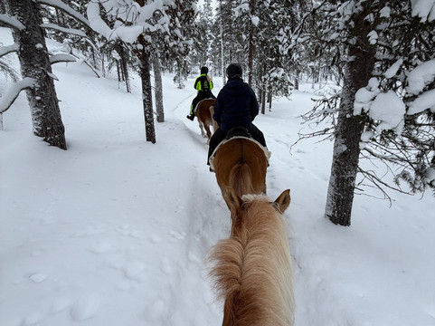 Polaris Point Horses-撒利塞卡必去景点