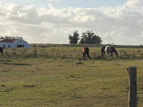 何塞伊格纳西奥埃斯坦西亚维克酒店主图