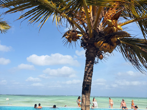 Andrea Vento Viaggi-Volla必去景点