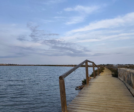 Parque Regional Salinas-San Pedro del Pinatar必去景点