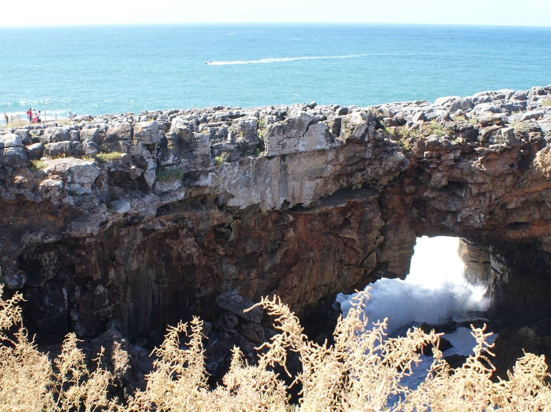 Fidalguia-里斯本必去景点