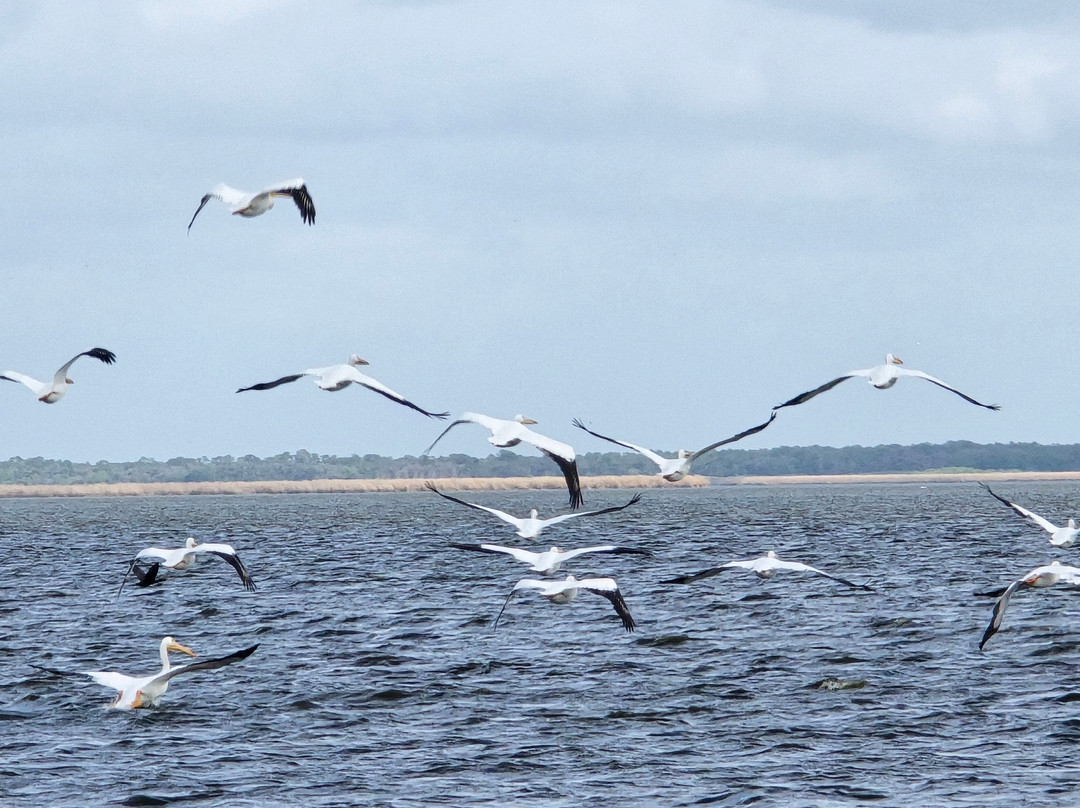 Black Hammock Adventures-Oviedo必去景点