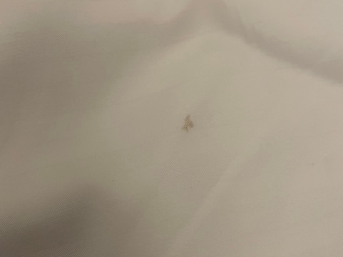 杜兰特乔克托 度假村主图