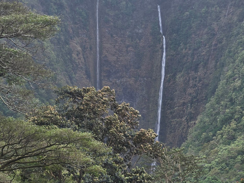 Waipio Valley Shuttle-库库伊哈尔必去景点