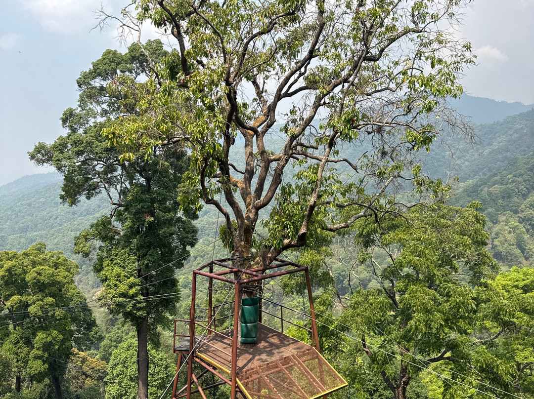 King Kong Smile Zipline-雷沙革必去景点