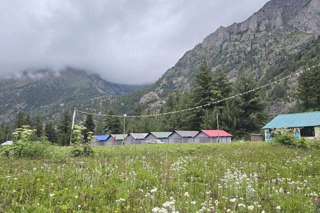 Sangla Valley Camping