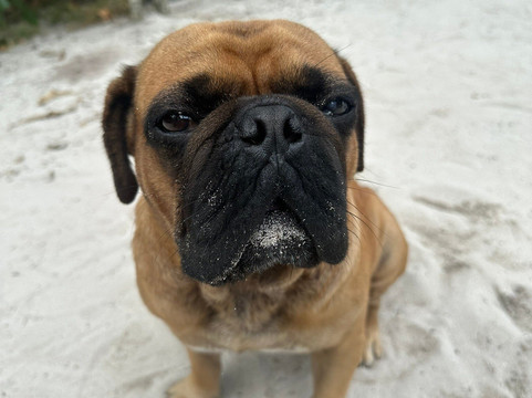 ATX Travel and Tours-巴拉巴克必去景点