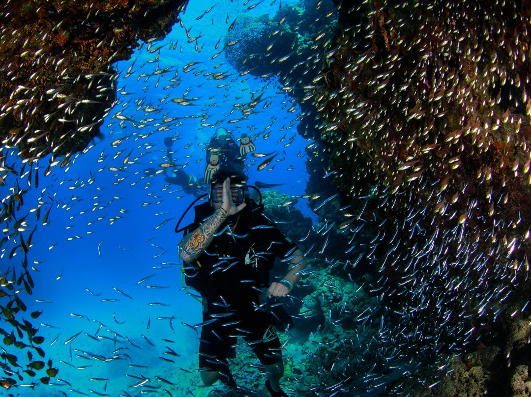 VIP Diving College-沙姆沙伊赫必去景点