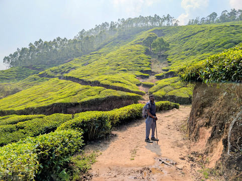 Munnar Info-慕那尔必去景点