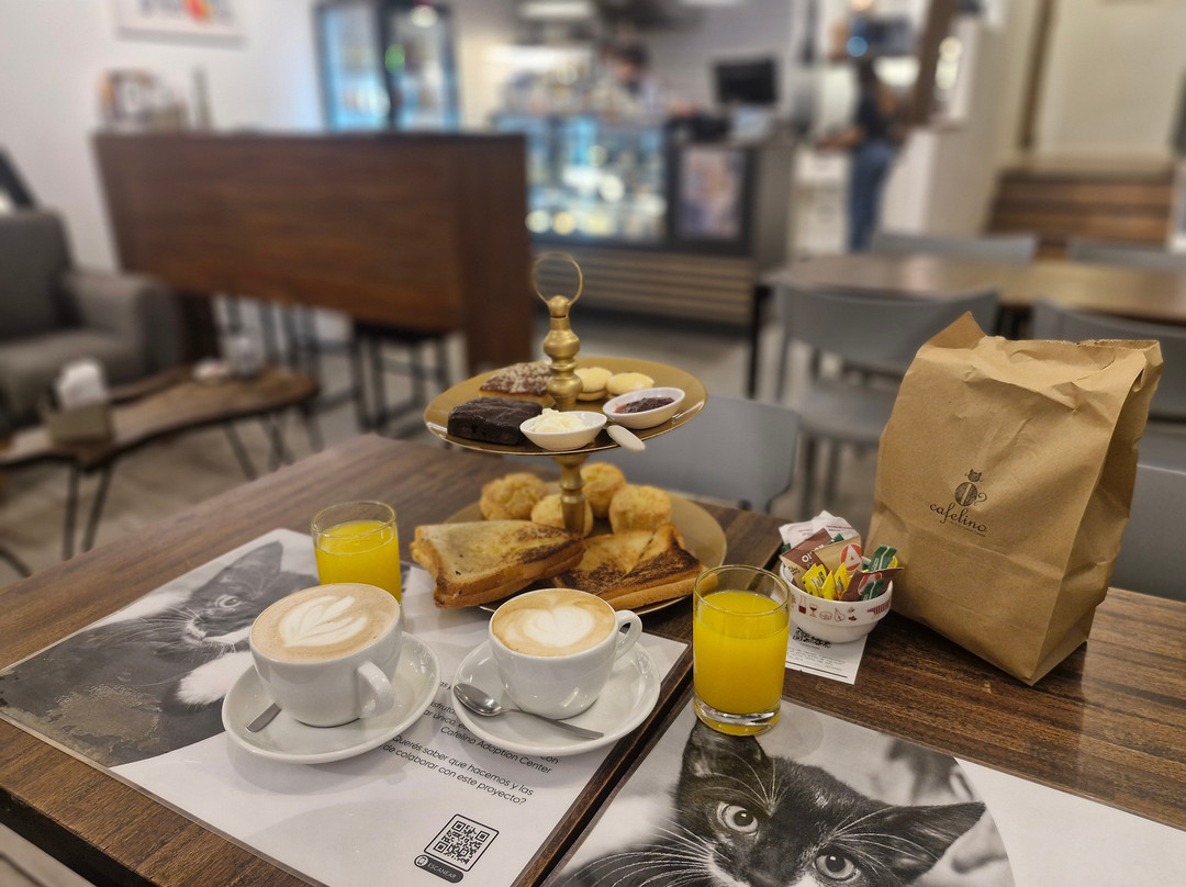 Cafelino Café & Adoption Center