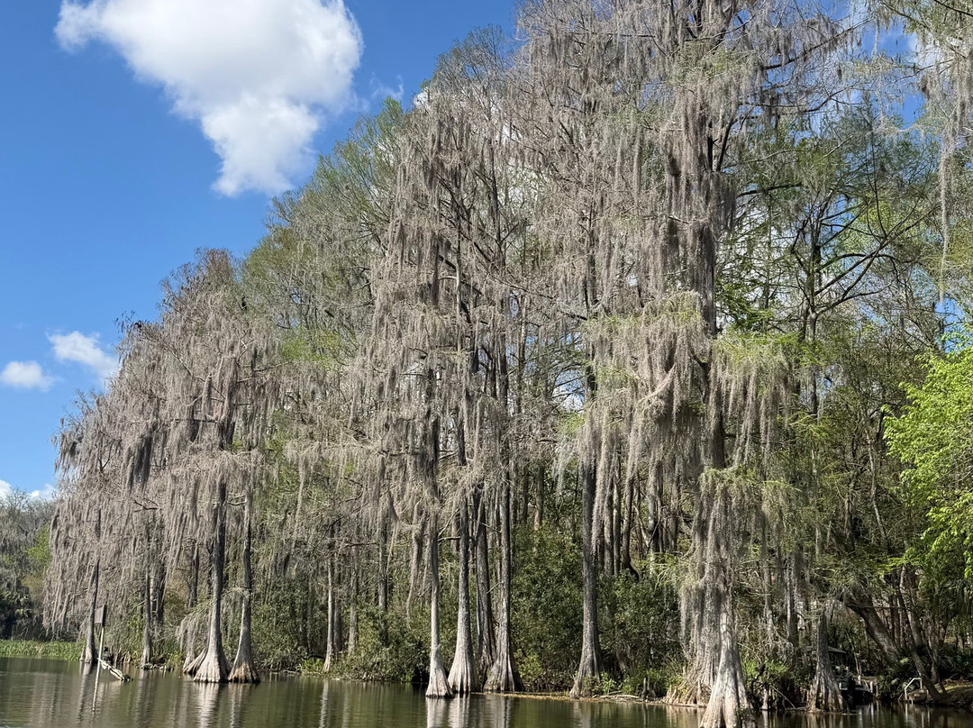 Rainbow River Kayak Adventures-Dunnellon必去景点