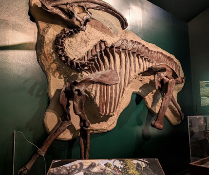 Manitoba Museum-温尼伯必去景点