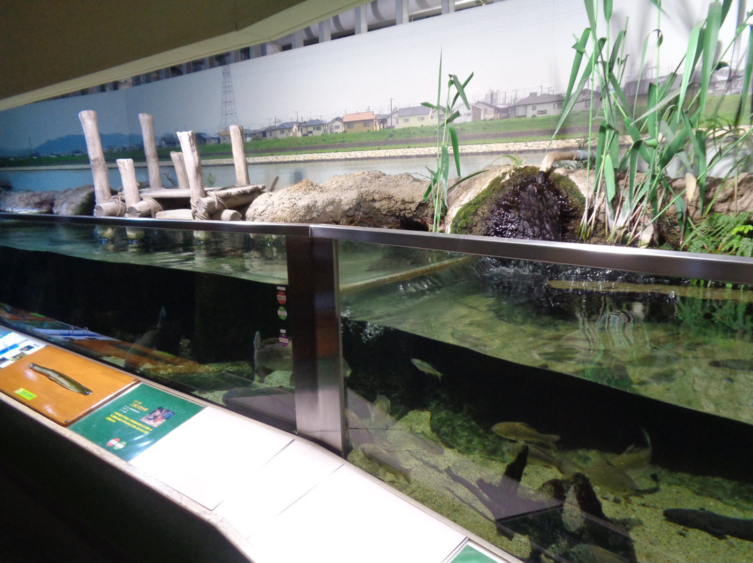 Himeji City Aquarium-姬路市必去景点