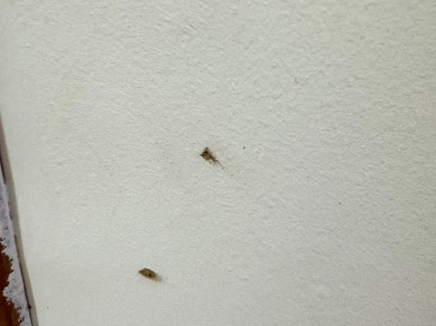 门户宫殿酒店主图