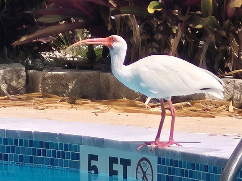 老木桥码头旅馆主图