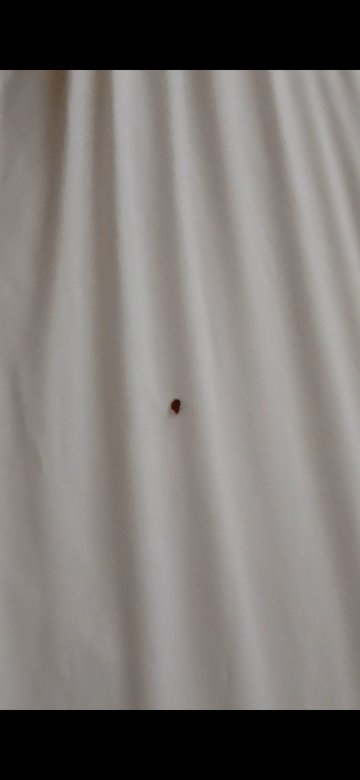 美式套房酒店-官方