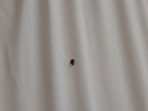 美式套房酒店主图