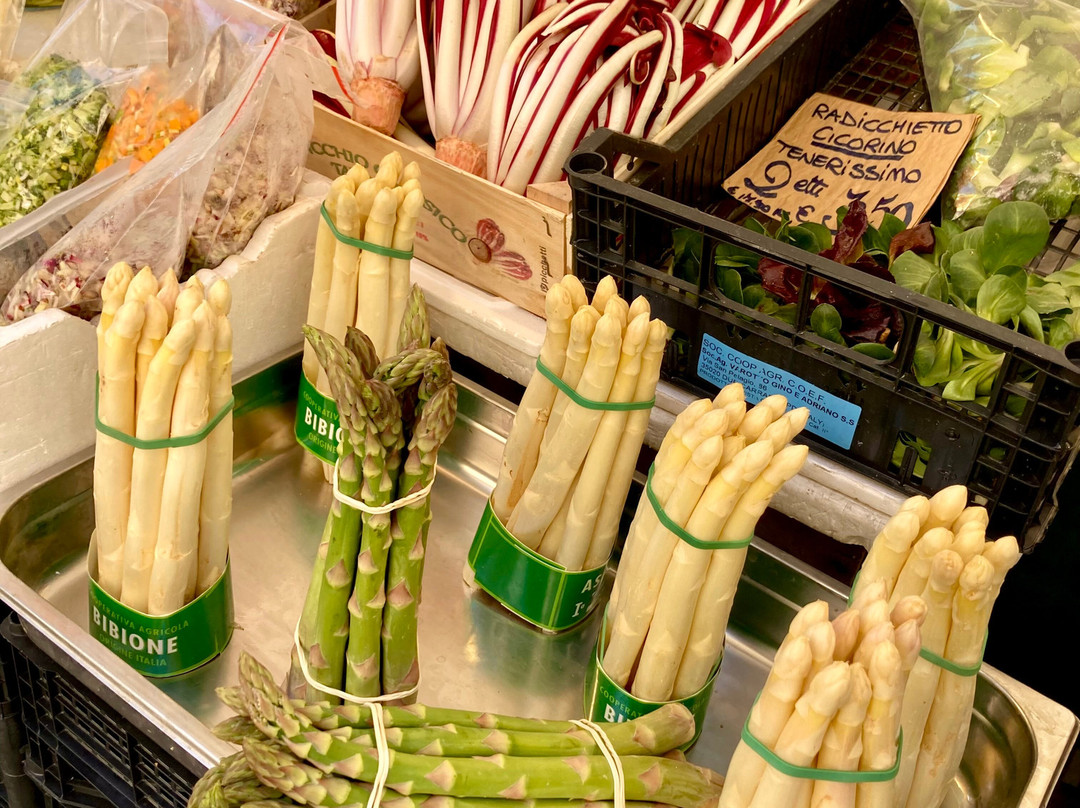 Piazza delle Erbe-帕多瓦必去景点