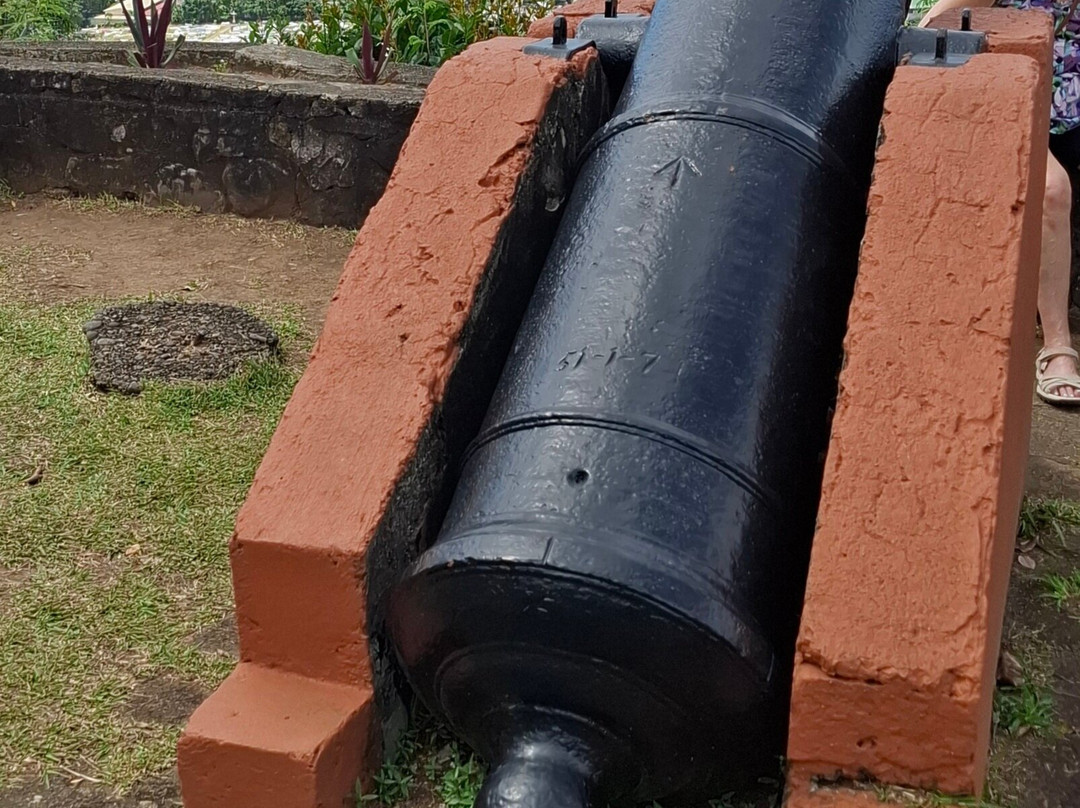 Dominica Botanic Gardens-罗索必去景点